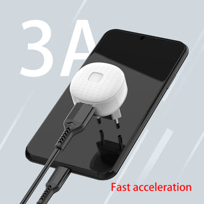 Earldom EU12 2-Pin Fast Charger